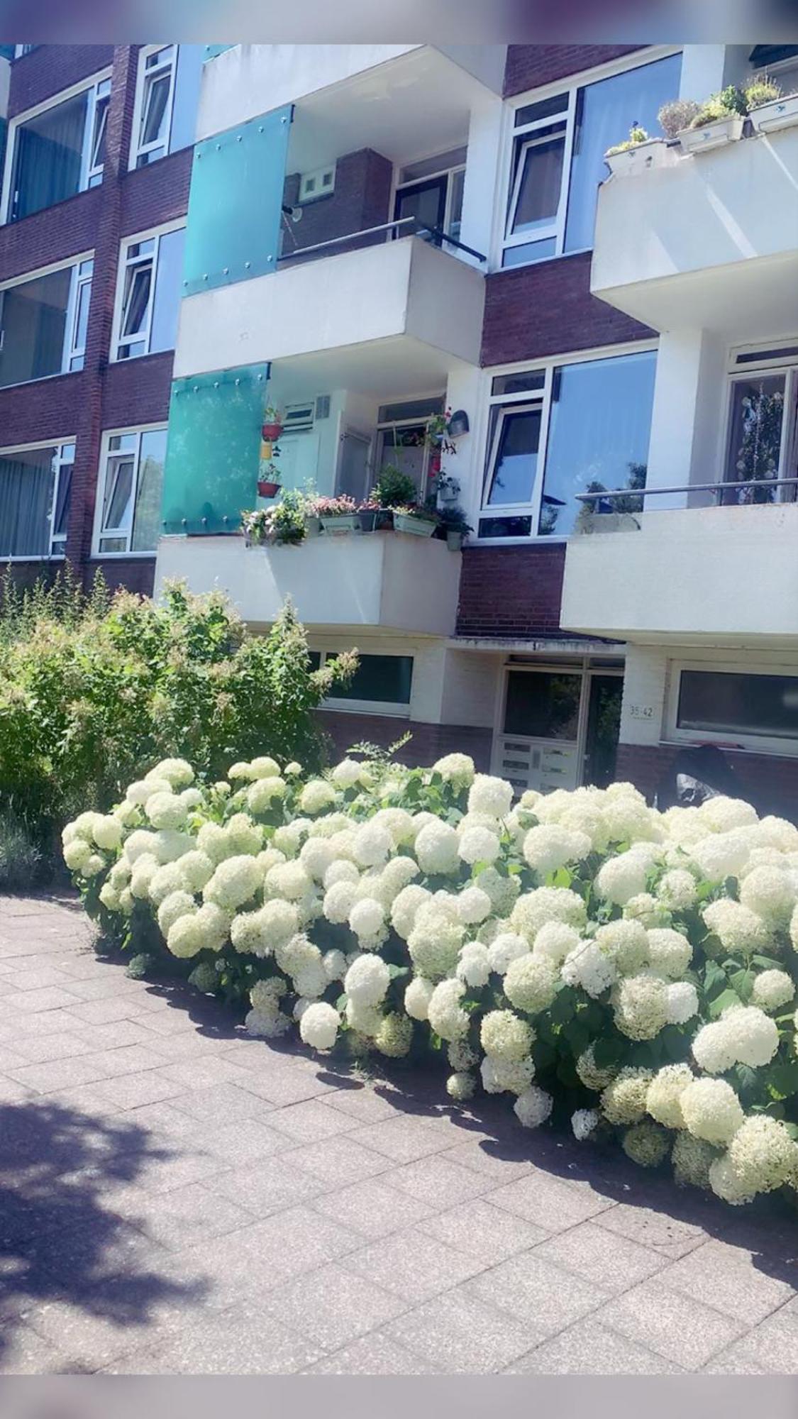 Appartement Keycity Near Amsterdam & The Hague Leiden