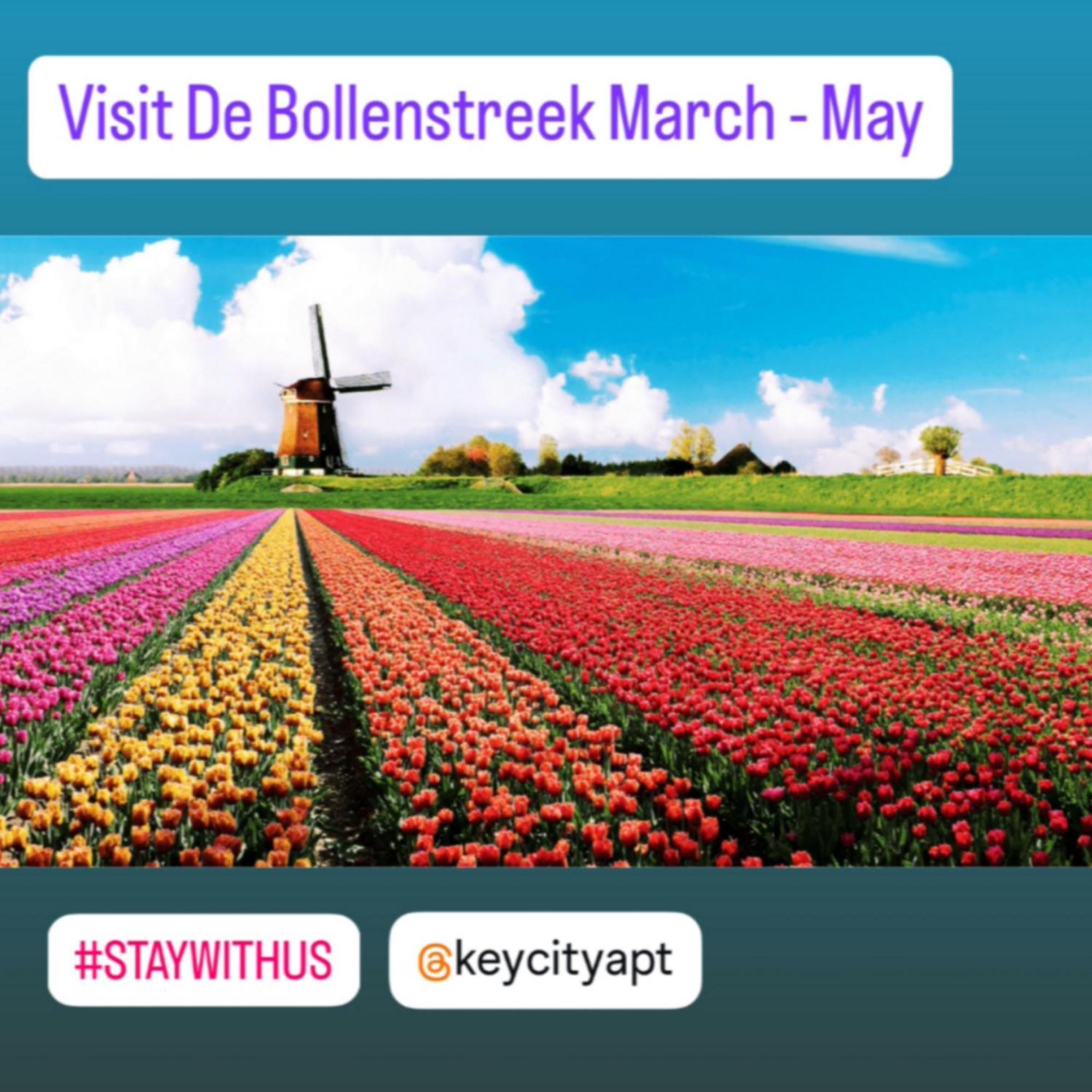 Keycity Near Amsterdam & The Hague Appartement *