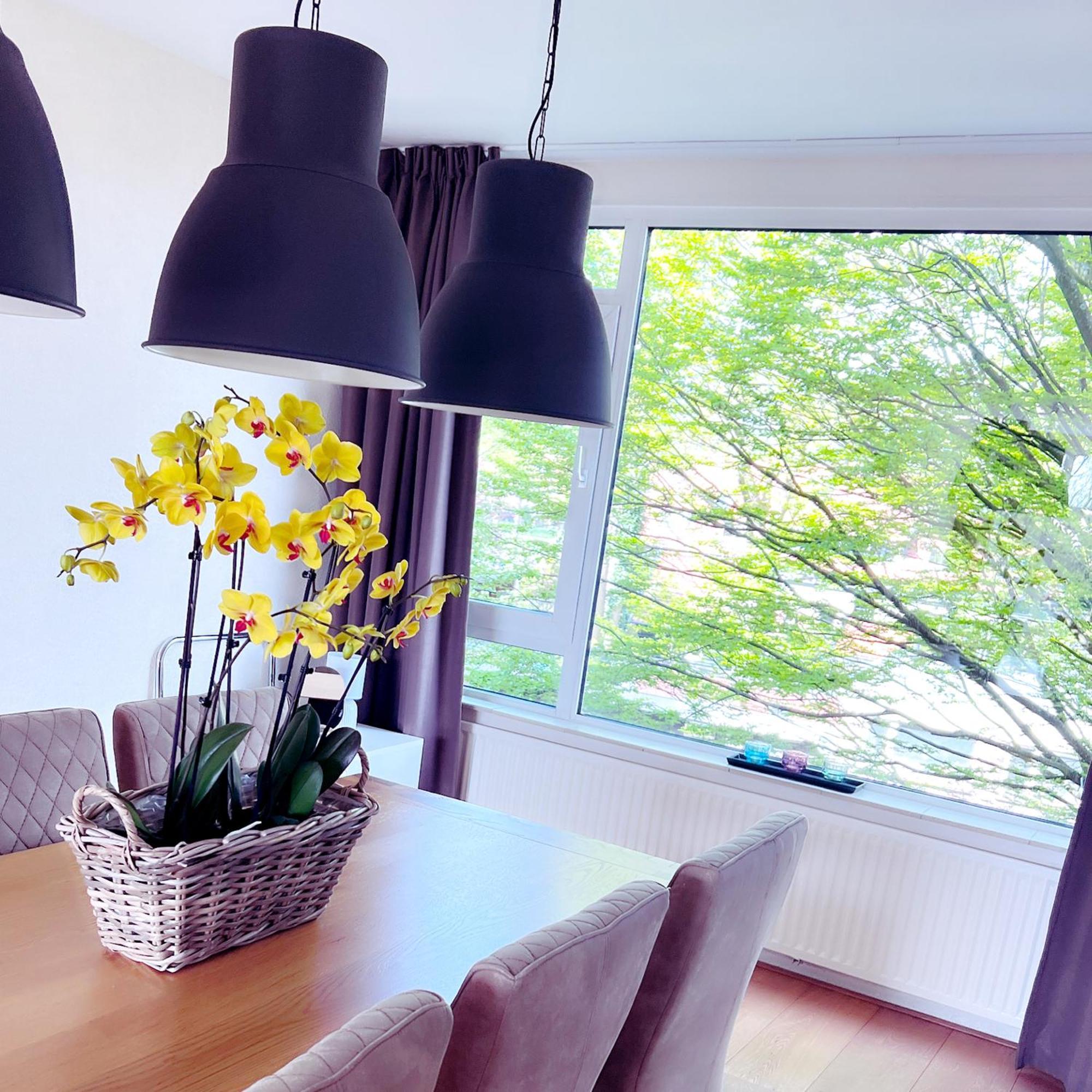 Appartement Keycity Near Amsterdam & The Hague